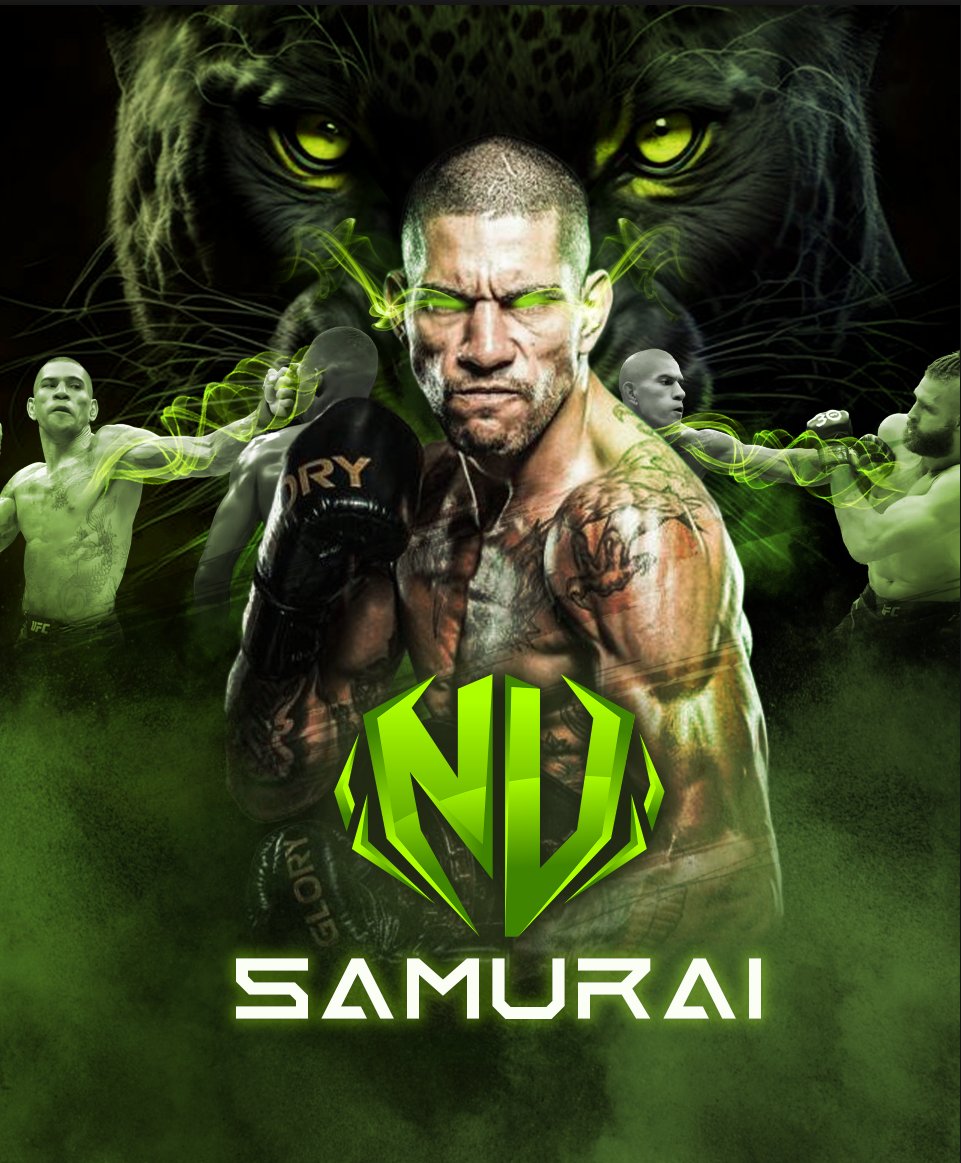 Samurai Robin tweet media