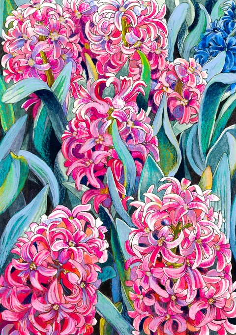 Unabashed reminder I have a Jersey Giant tier open this month :) It would be a great value for a bespoke painting of an animal or plant for a loved one as a gift.... 