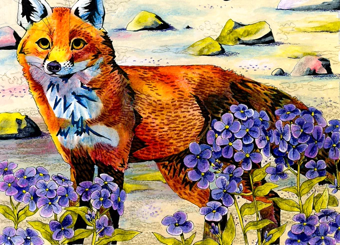Unabashed reminder I have a Jersey Giant tier open this month :) It would be a great value for a bespoke painting of an animal or plant for a loved one as a gift.... 