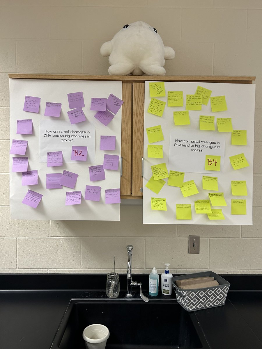 Mr. J Cook (@cookscientific) on Twitter photo Started our DNA unit in general biology with a fun Anchoring Phenomenon and Driving Question Boards today. #NGSS #alwayslearning <a href="/chsinfo/">Carmel High School</a> (lab courtesy of Biology Corner!) Started our DNA unit in general biology with a fun Anchoring Phenomenon and Driving Question Boards today. #NGSS #alwayslearning <a href="/chsinfo/">Carmel High School</a> (lab courtesy of Biology Corner!)