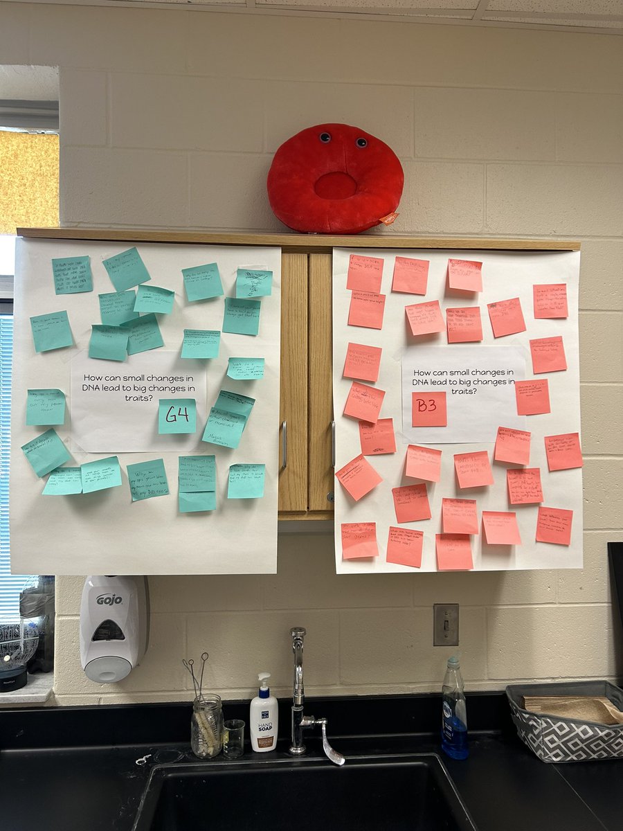 CookScientific's tweet photo. Started our DNA unit in general biology with a fun Anchoring Phenomenon and Driving Question Boards today. #NGSS #alwayslearning @chsinfo (lab courtesy of Biology Corner!) https://t.co/oFneroALUj