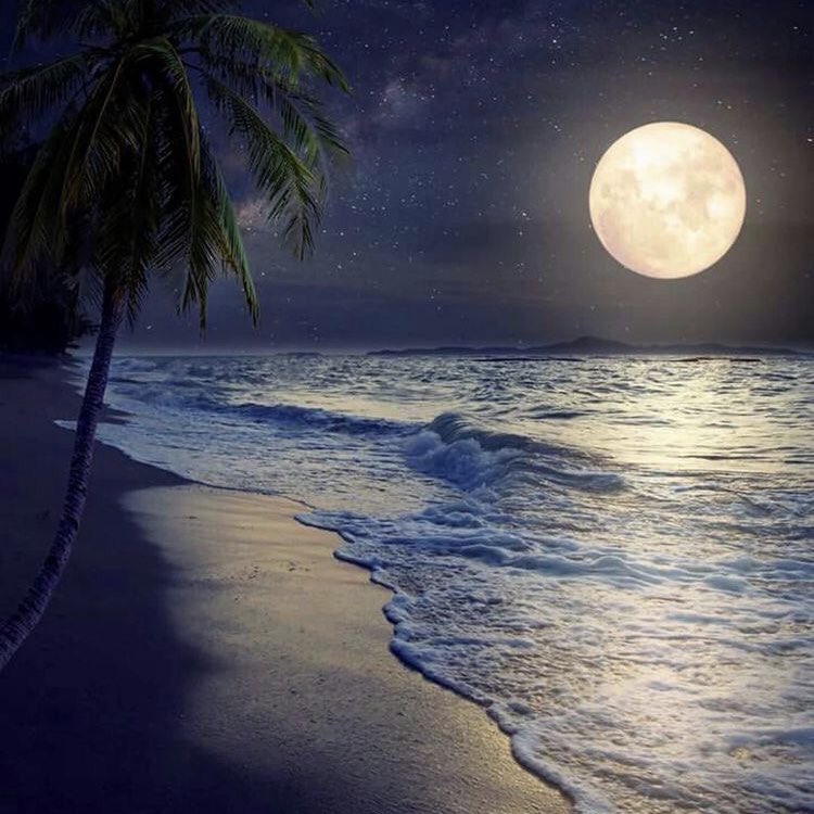 Penjelasan dan Tata cara salat Tahajud lengkap dan simple ✨

A thread