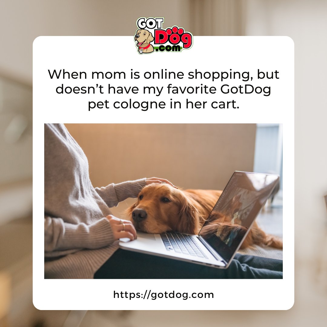 gotdogdotcom's tweet photo. That moment when your #dog gives you 'the look' during online shopping. 😔🐕

Add some #petcologne to your cart and keep those tails wagging! 🛒🐾

https://t.co/OpBdRp7mNy 

#dogoftheday #lovedogs #animals #petcologne #petfragrances #fragrances #cologne #perfume #instagramdogs https://t.co/ynRupY94Eb