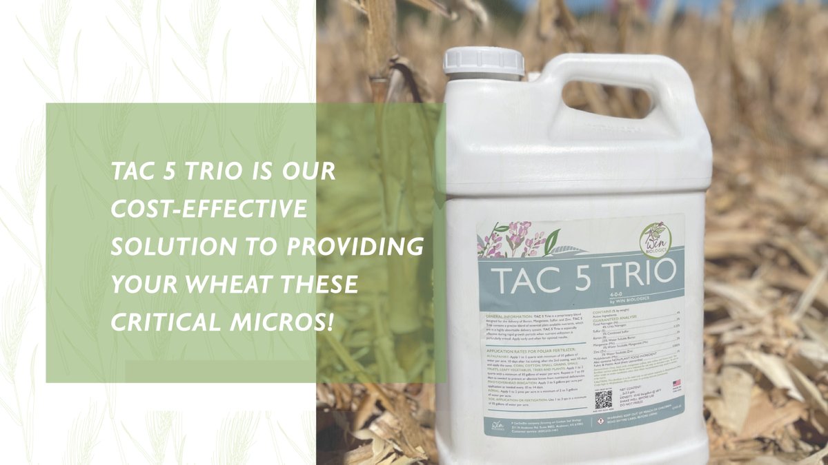 Q&amp;A with WinBio Q: What micronutrients are important for wheat production? A: Factors such as soil type, pH &amp; organic matter all determine which micronutrients are available in your fields. Outside of our macronutrients, zinc, manganese &amp; boron are 3 key micronutrients for wheat.