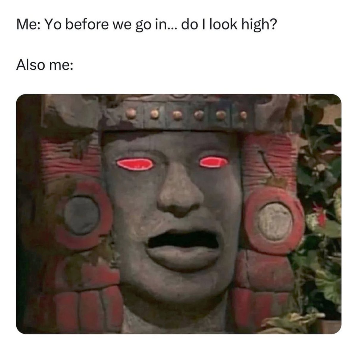 Guilty 😵‍💫⁣
⁣
Don't forget to score $10 off your next pair when you shop at vicerays.com 🙌⁣

📸: weedhumor