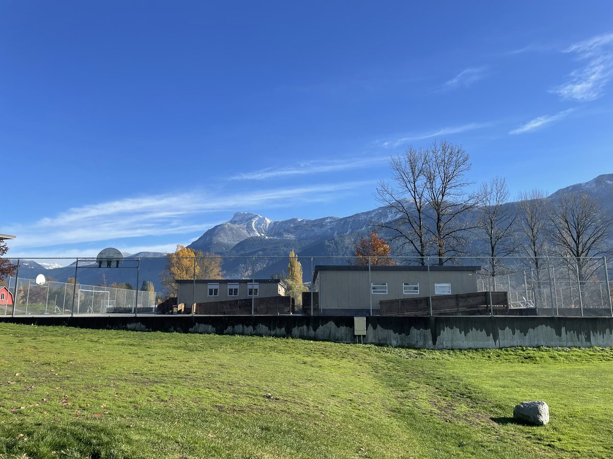 Finding plants in the back field! Using the ethnobotany kit to identify plants and learn about their uses. #sd33learns