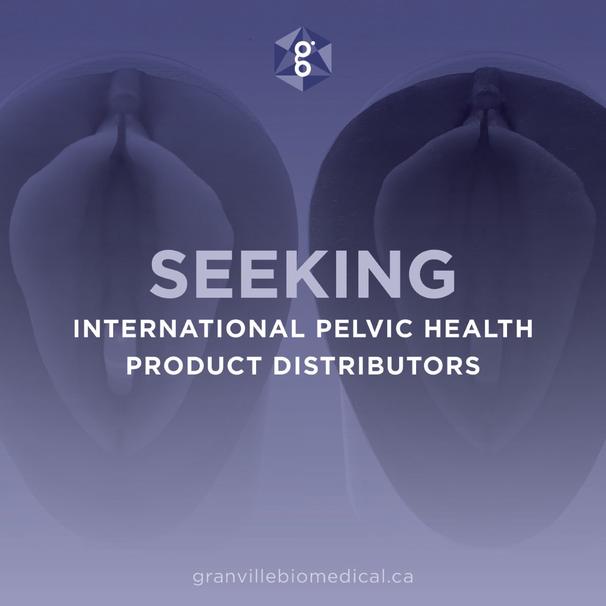 GranvilleBiomedical (@granvillebiomed) on Twitter photo We are seeking international distributors to join our mission of advancing women’s health on a global scale. 🌍 Together, let's pave the way for better pelvic health education worldwide. DM us or contact info@granvillebiomedical.ca for all the details. #WomensHealth #PelvicHealth We are seeking international distributors to join our mission of advancing women’s health on a global scale. 🌍 Together, let's pave the way for better pelvic health education worldwide. DM us or contact info@granvillebiomedical.ca for all the details. #WomensHealth #PelvicHealth