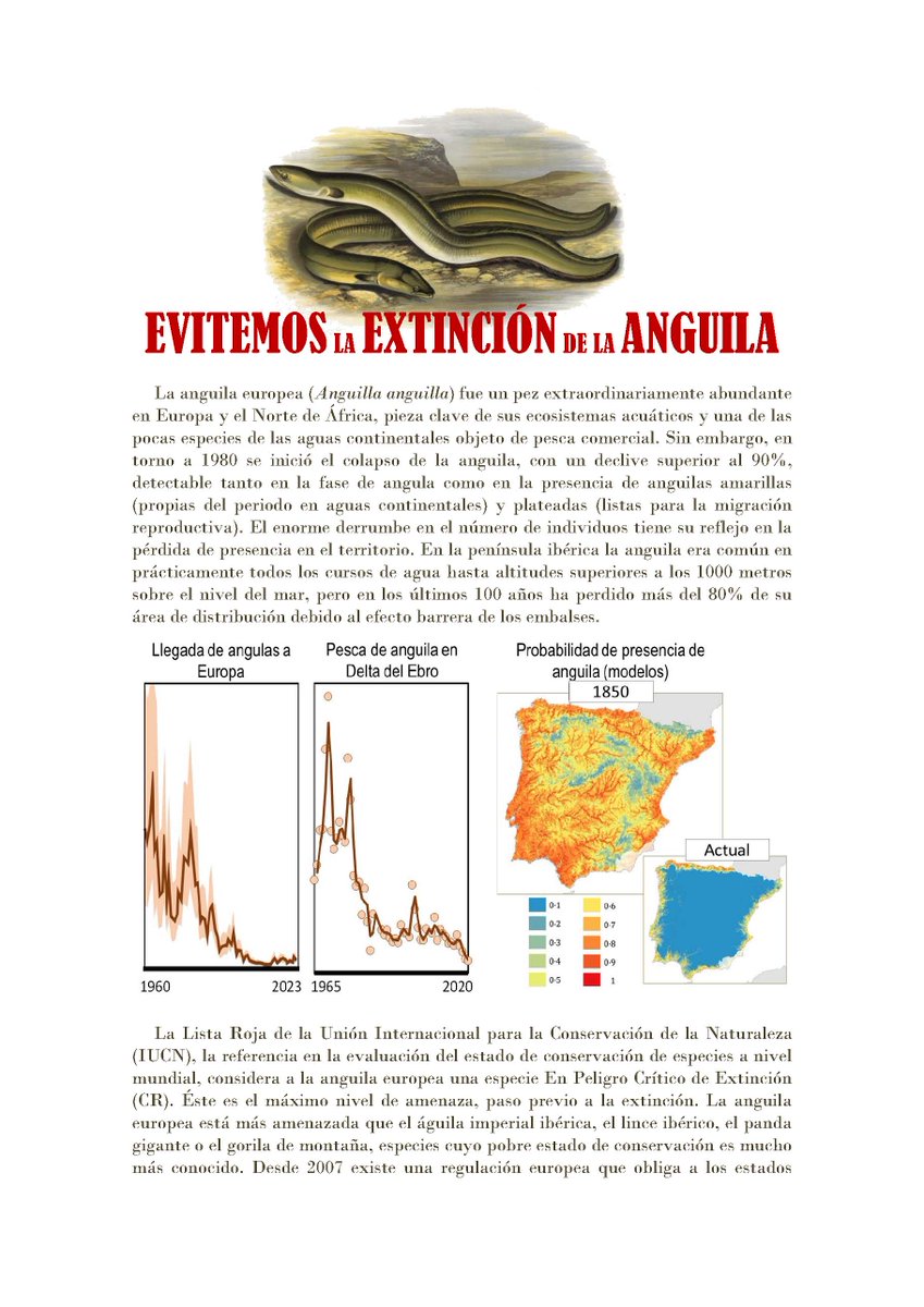 Chikichanka's tweet photo. Iniciamos recogida de apoyos para reclamar medidas estrictas de protección de la angula
Con dos opciones
petición abierta en https://t.co/PcBE49vfSf https://t.co/3mBi9Vqhcx
Otra para gentes de la investigación: https://t.co/DrMqDwlKtZ
DIFUNDE!!!
@SIBICorg @AIL_limnologia https://t.co/NsvqJXVjb3