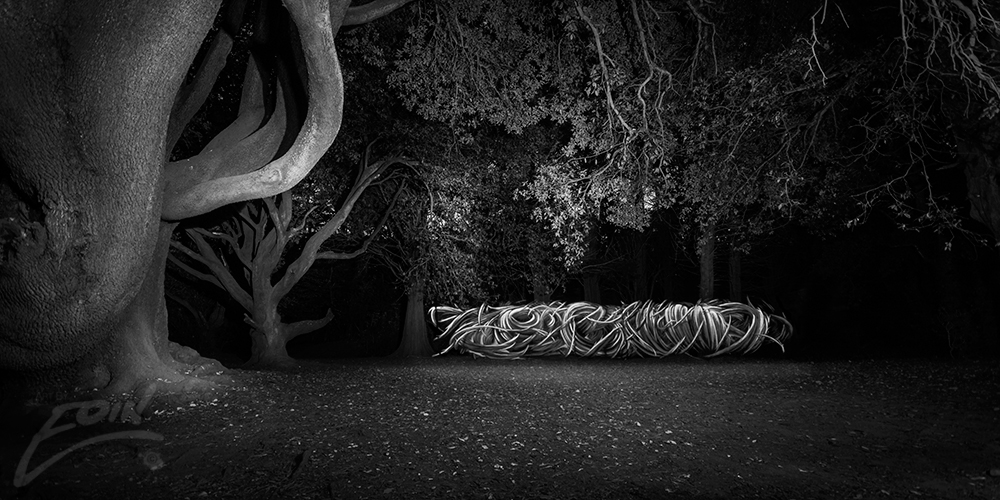 Street Art Collector tweet media