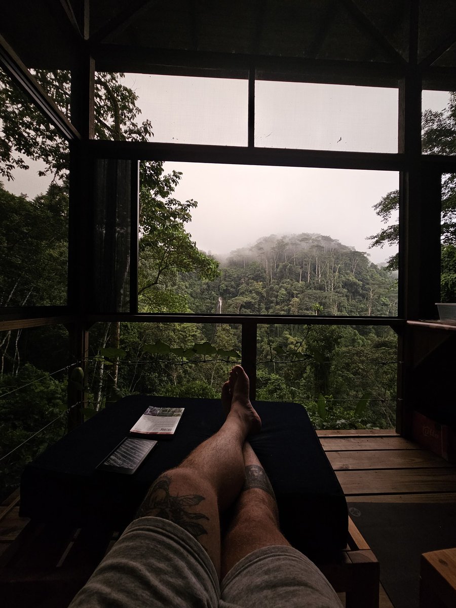 The house that NFTs built