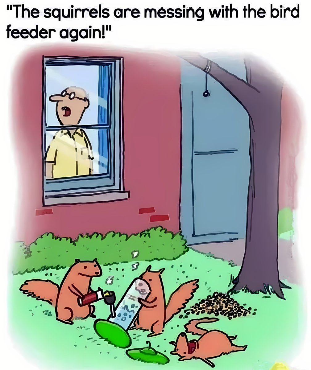 missingaliens's tweet image. 