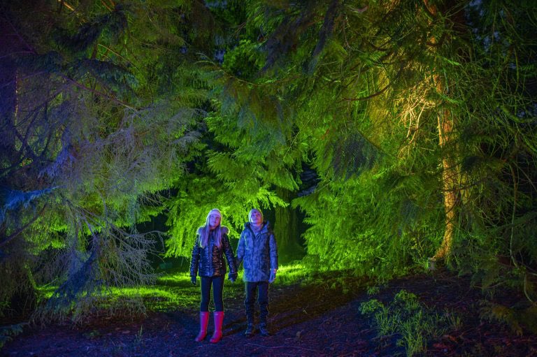 Foyle Fireworks tweet media