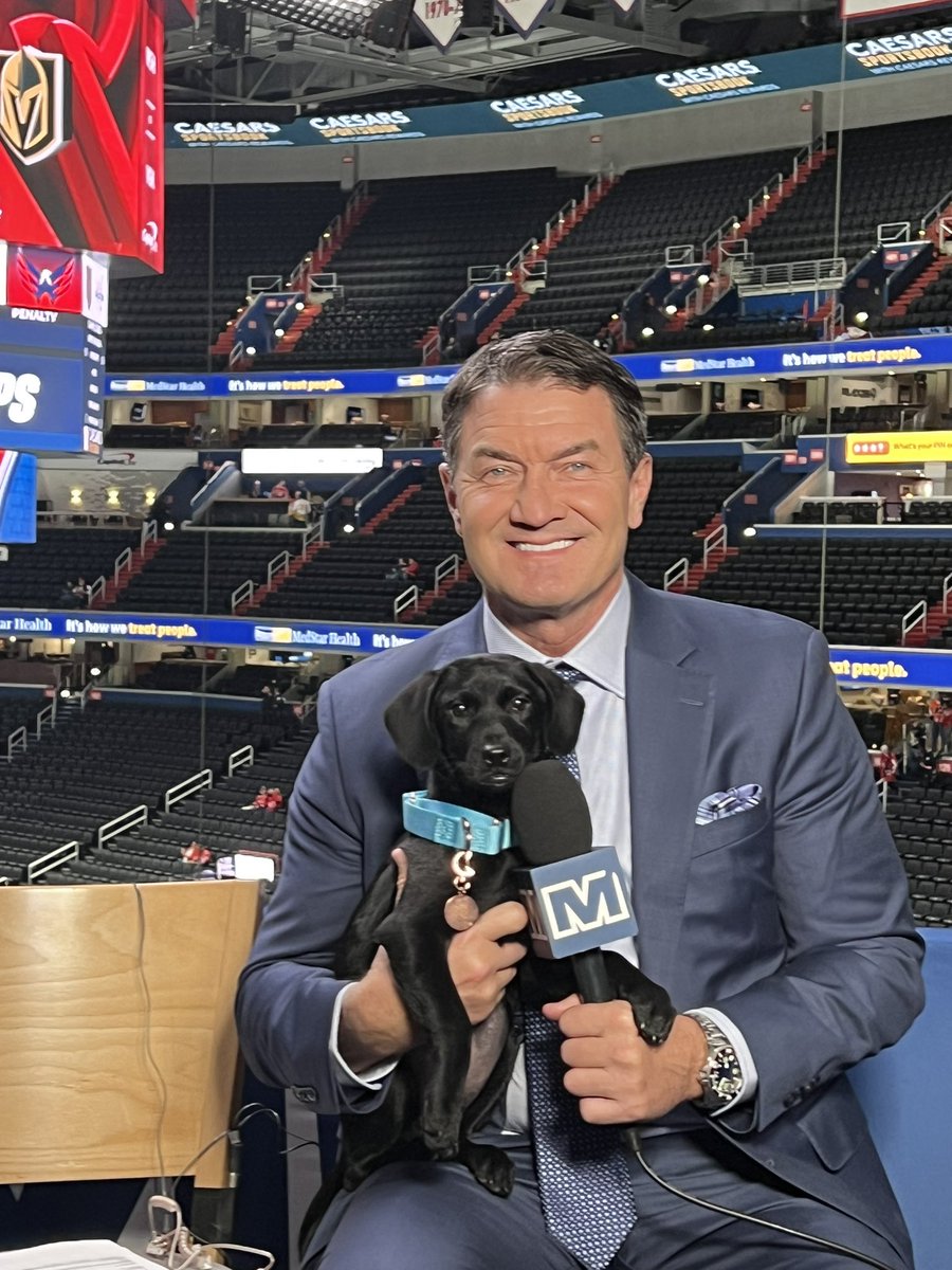 #CAPITALS K9 Night with rescues from @WTARescue @capitals #puppies