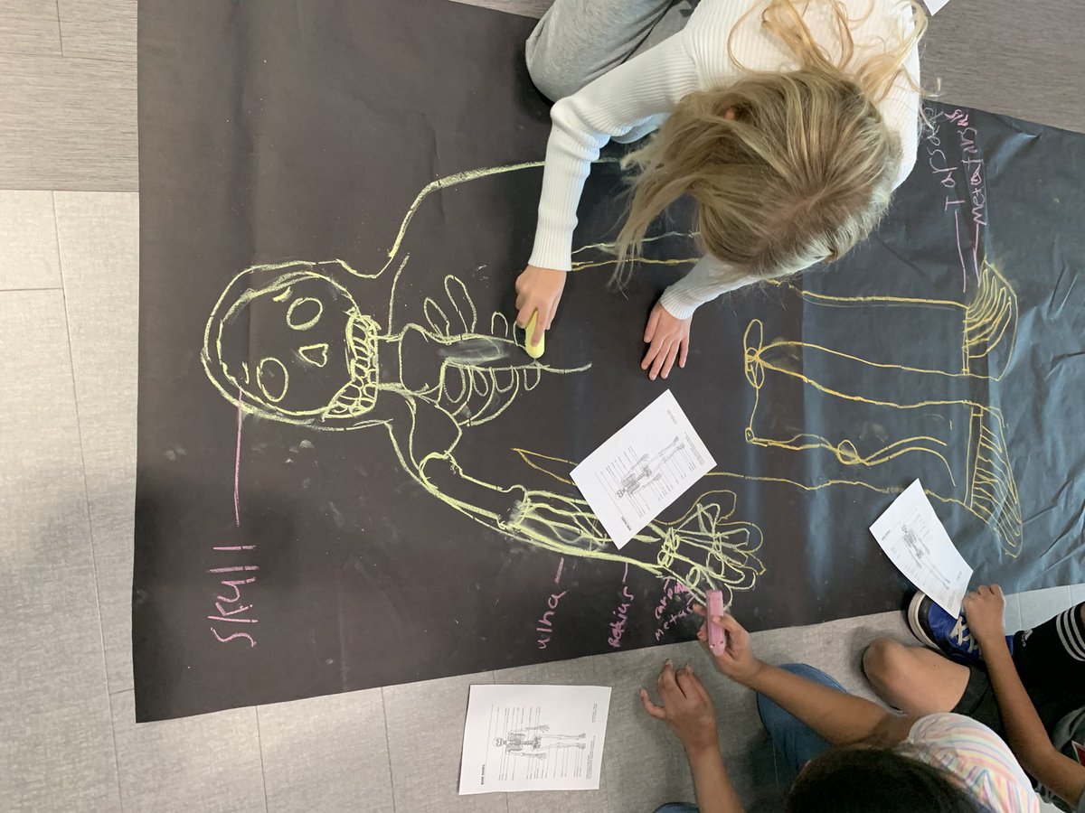 ❤️ how <a href="/Canvas_by_Inst/">Canvas by Instructure</a> has integrations w/ apps + platforms! Today, S’s explored in <a href="/DiscoveryEd/">Discovery Education</a> a 3-D interactive Skeletal System to later 🗣️&amp; 🧑‍🎨 life-size versions of skeletons! #ThirdStarsToTheRight and straight onto more blended learning to support instruction! @AFESStars
