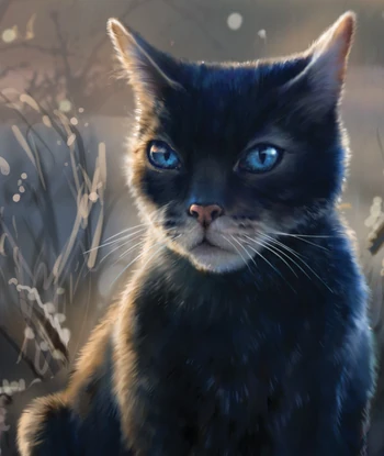 warriorsshipotd's tweet photo. 4th ship otd is crowfeather x harestar!
requested by @jaxpsylla!
crowfeather is transfem and uses she/her and harestar is bi!
tags: #warriorcats #crowfeather #harestar https://t.co/fOoO48Zkmz