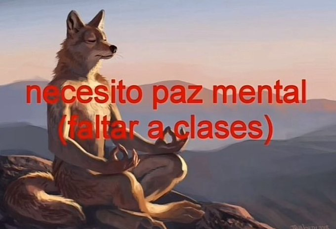 frigosouul's tweet photo. buenos dias https://t.co/NFuzmzLzhc