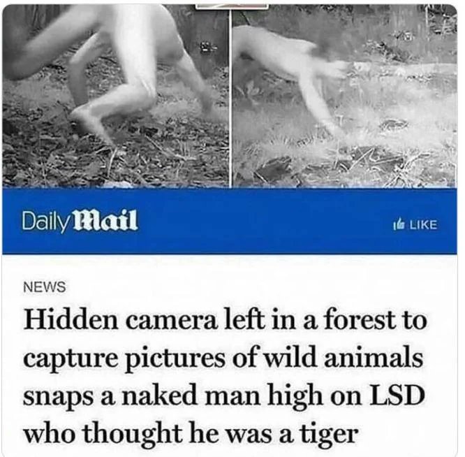 FatherMcKennaa's tweet photo. God forbid a man has a hobby https://t.co/PlVRKvGfqI