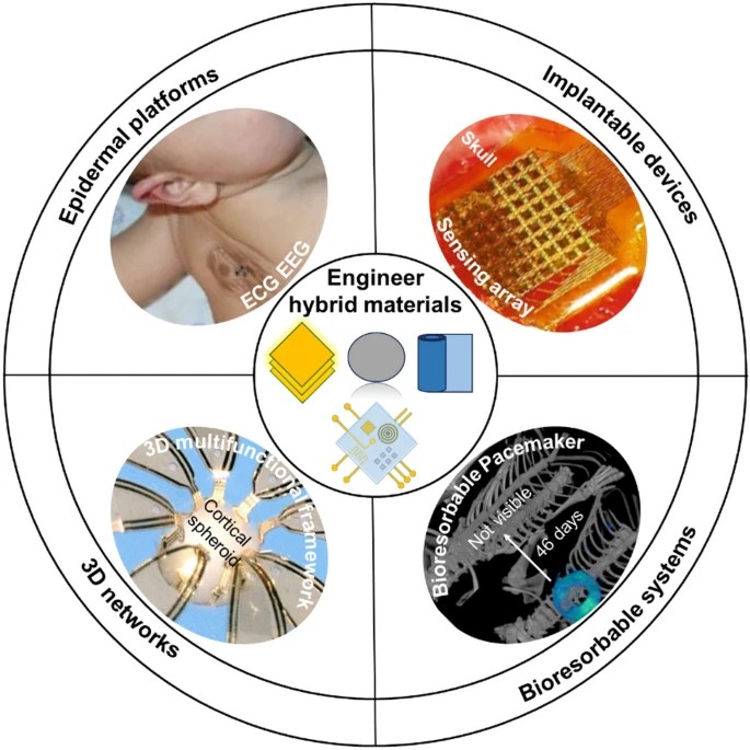 MRSBulletin's tweet photo. This #MRSBulletin article discusses progress in #hybridmaterials for #bioelectronic systems, which have unique capabilities for establishing bidirectional #biophysical and #biochemical interfaces to soft living tissues.

https://t.co/ftpLf3Cta4 https://t.co/LN7Yirioyj