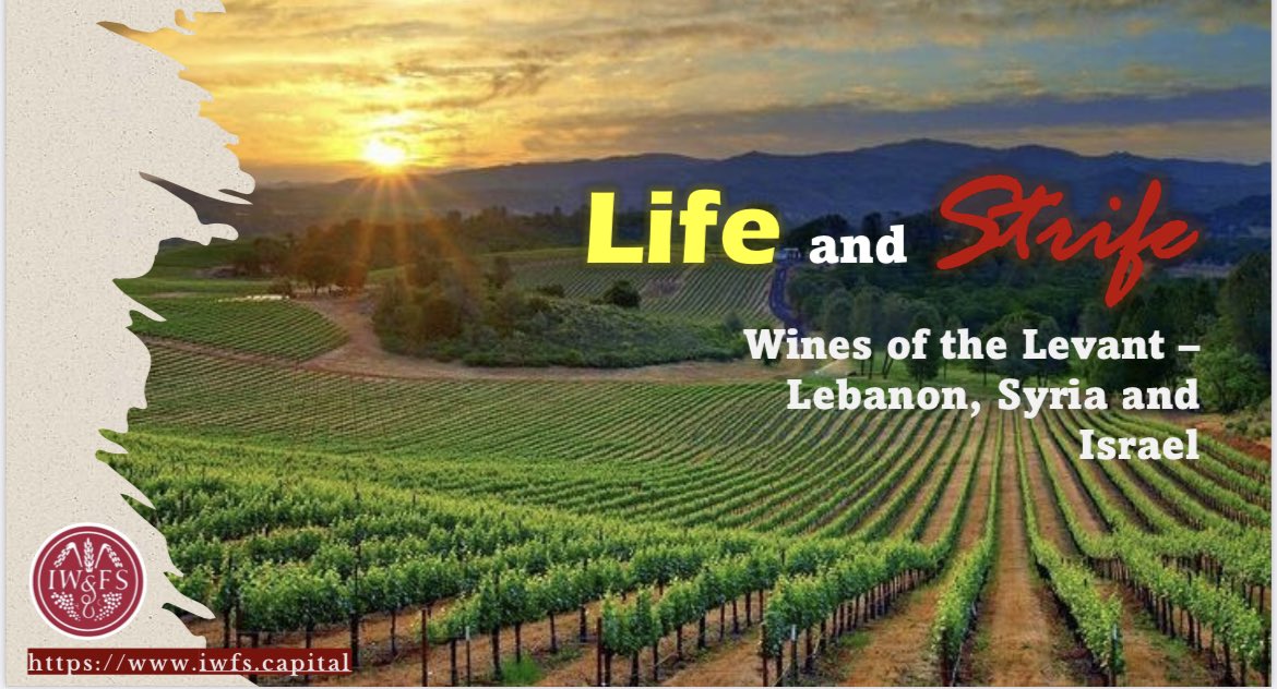 Vin de Plume 🩵🦋 tweet media