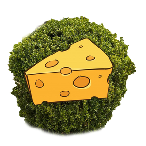 Bushcheese55's tweet photo. @cucuruchito Hi I'm Bushcheese, I'm a very small streamer but I do my best with the audience I have. I've been playing minecraft for almost 10 years and absolutely love the game. I love a bit of chaos, so I'd be sure to make things interesting!!! :] https://t.co/Zcs0OkCwma