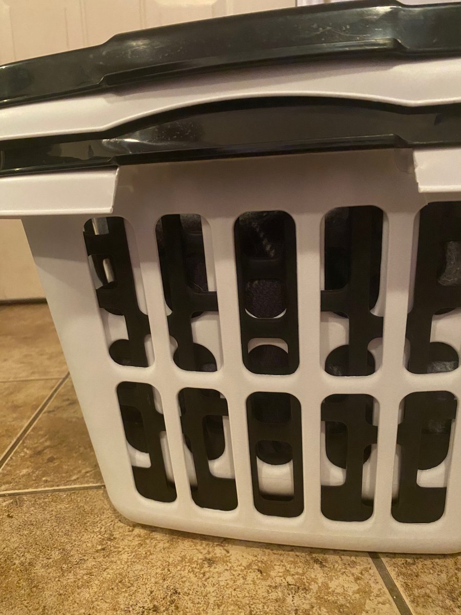 How long did it take you to see it?