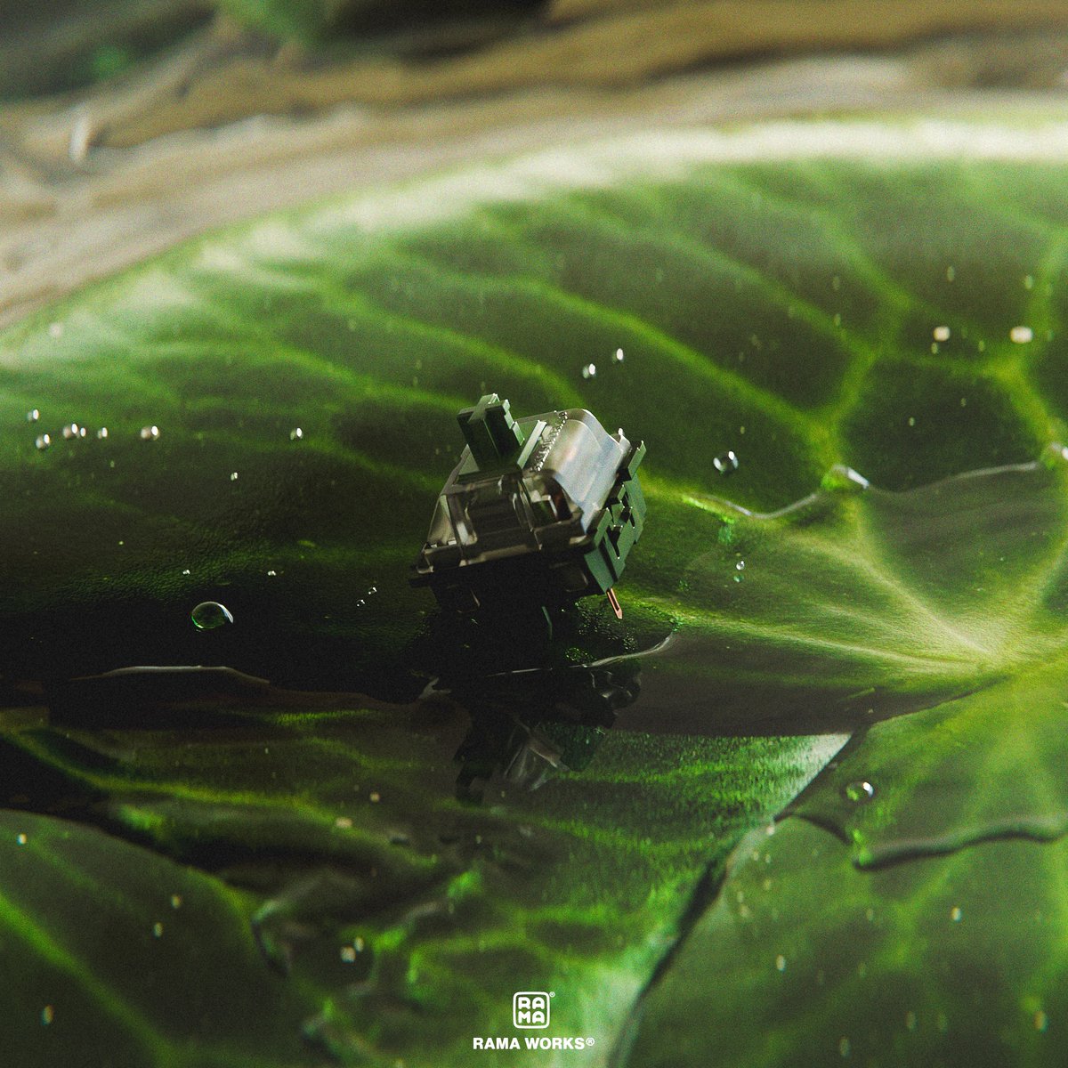 RAMA WORKS® tweet media