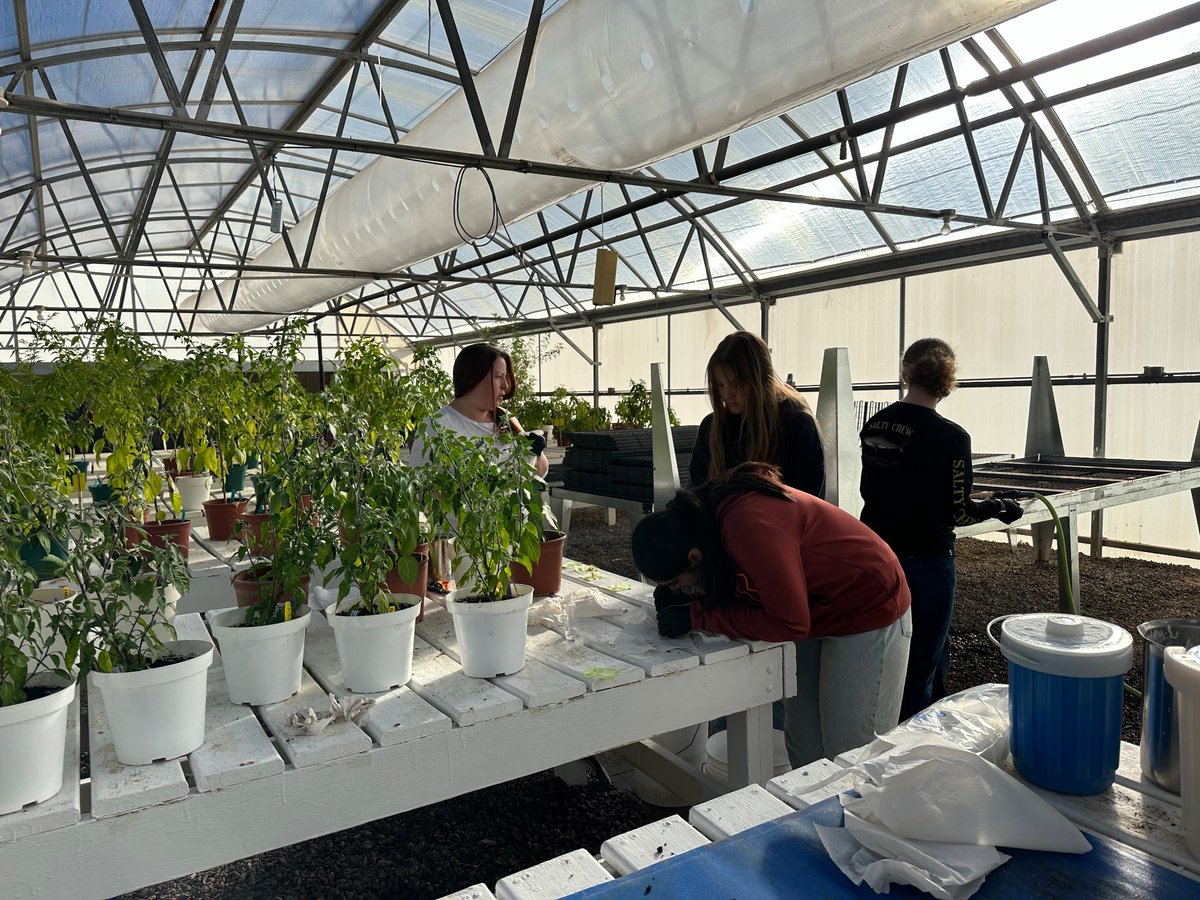 Dennis Nicuh Lozada tweet media