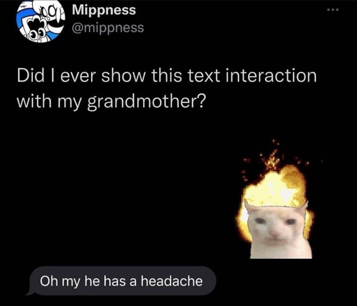 Posts Of Cats (@postsofcats) on Twitter photo 