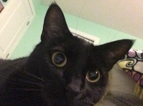 Aydan 🦤 tweet media