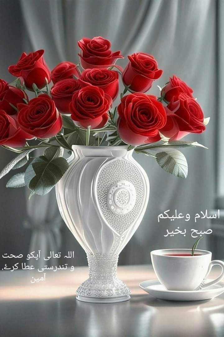 Muhammad Sohail (@shanipk021) on Twitter photo 