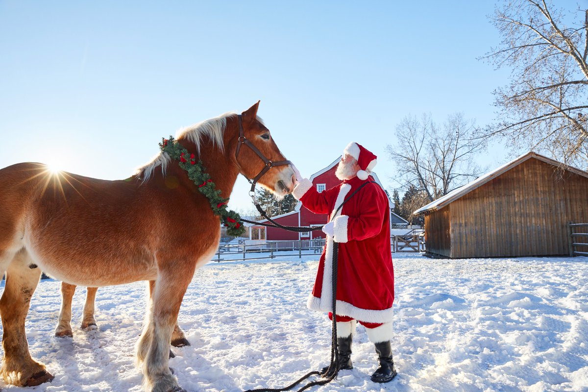 Contest time! 🎅🤶 Enter to win a family pack of tickets! 🎁🎁 2x adult / 2x kids - for 𝐃𝐞𝐜. 𝟏𝟔. Heritage Park: Once Upon A Christmas • Nov. 25 – Dec. 17 • heritagepark.ca/once-upon-a-ch… 1. Follow @HeritageParkYYC & @cmcalgary 2. RT this Contest ends Dec 14. #YYC #Calgary