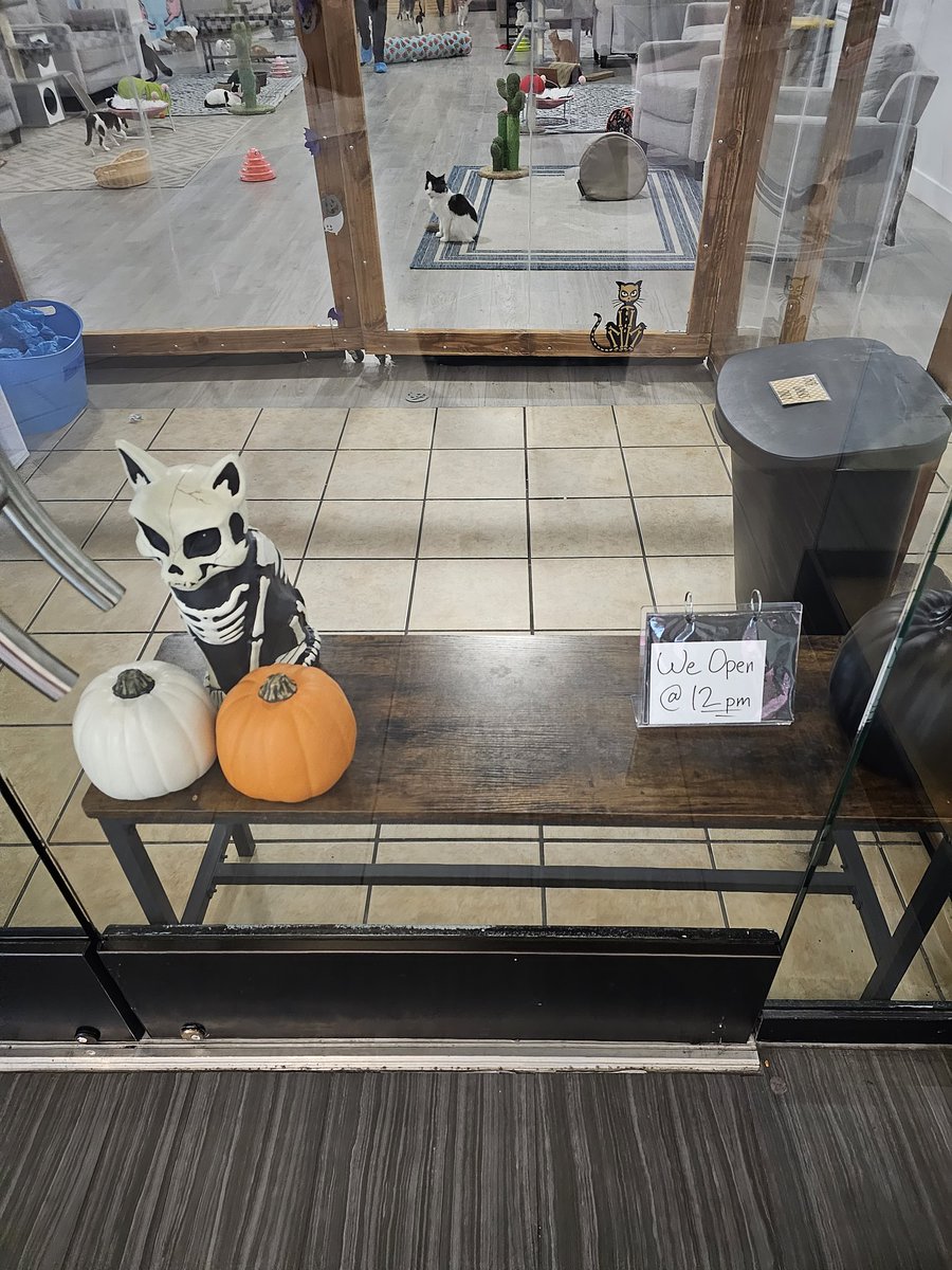 Mata_Mayhem's tweet photo. @officeladiespod This is a legit "store" space in The Great Mall in Milpitas, CA... I figured Angela Martin would love it. https://t.co/C74hLSTHfs