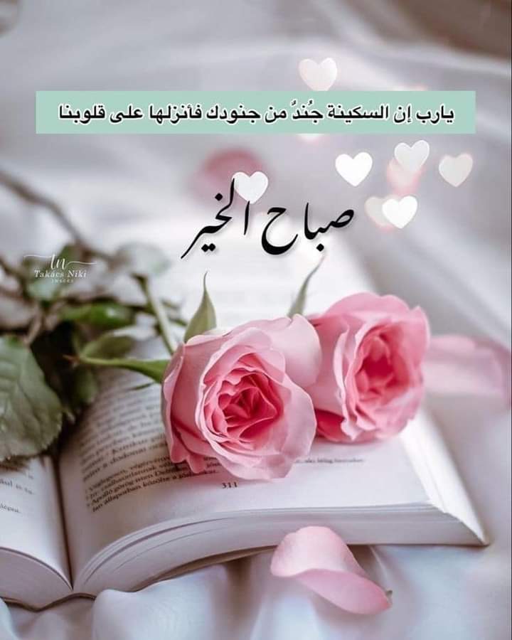 ويبقى الصباح..🌤
كساعي البريد إلى أهل الضياء والصفاء والوفاء...🌷
حاملا رسائل مغلفة بأطيب الدعاء..🌸
 أسعد الله قلوبكم النقية، وبارك الله في ايامكم وسائر أوقاتكم، ووهبكم كل ما تحبون، وكفاكم شر ما تكرهون، وملأ حياتكم سعادة ومحبة وسلاما... 
اللهم آمين🤲🏻
          🌸صــــباح الخير🌸