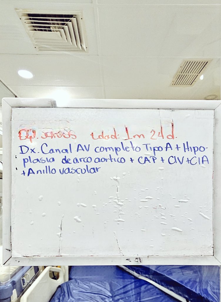 moys_nc's tweet image. Que buen ingreso llego el día de hoy. 
En la UCI cardiovascular. 🫀
#CardioPedia