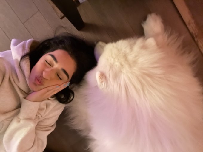 my dog is so obscenely large https://t.co/H8fn1tcmI5