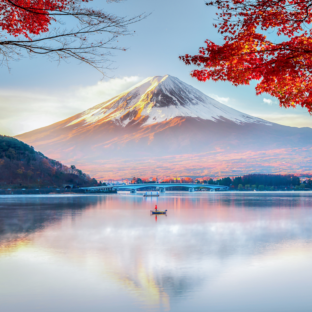 QRHolidays's tweet photo. Do Winter in Japan with 10% discount on flight + hotel packages!
Embark on a winter adventure to far-off destinations. 

Promo code: QRHWinter10.
👉 https://t.co/pCz3UhHTqK

#WinterYourWay #TravelDeals #WinterEscape #QatarAirwaysHolidays #Japan #Tokyo #HolidayMagic #japantravel https://t.co/q4RmDOnxqj
