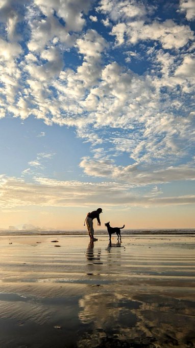 Beach day with Chica https://t.co/s4FefShqtK