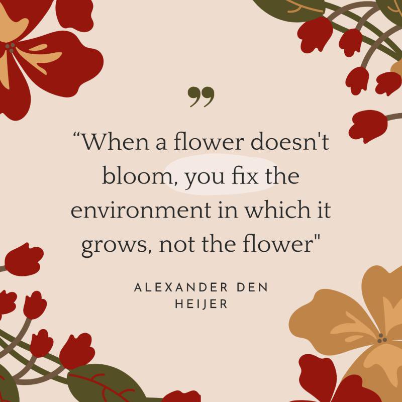 This 👇🏻
