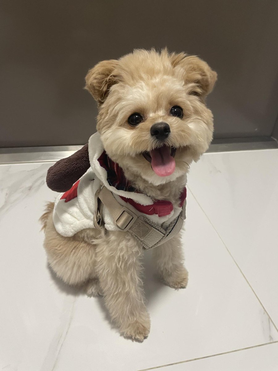 금비 아카이브 tweet media
