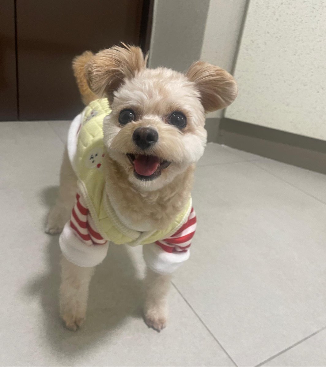 금비 아카이브 tweet media