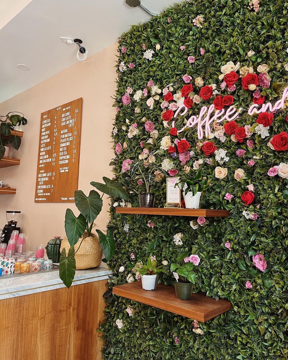 coffeeplantsla's tweet photo. Our infamous plant wall at our Pasadena shop will always be a favorite of ours! Have you taken a photo with it? ☕️🪴
Tag us! We love seeing all your photos!🩷
📸 @megscoffeegram https://t.co/59bq20E7Ky