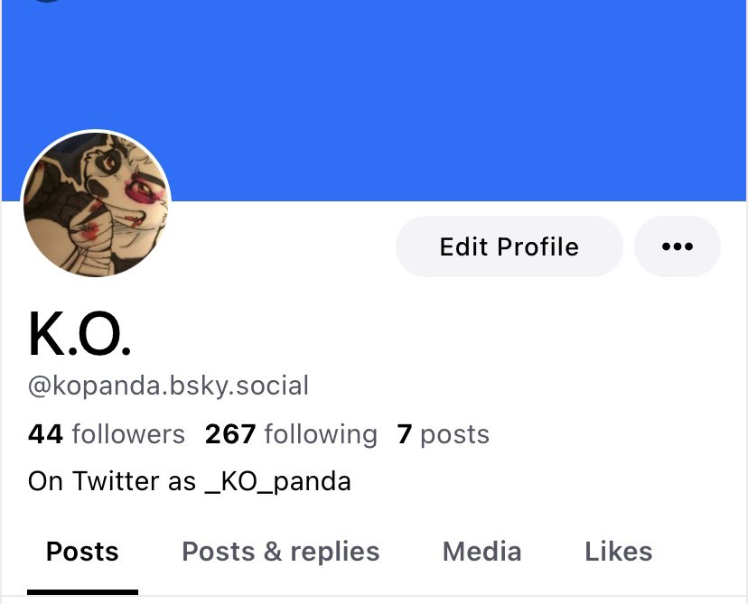 K.O. tweet media