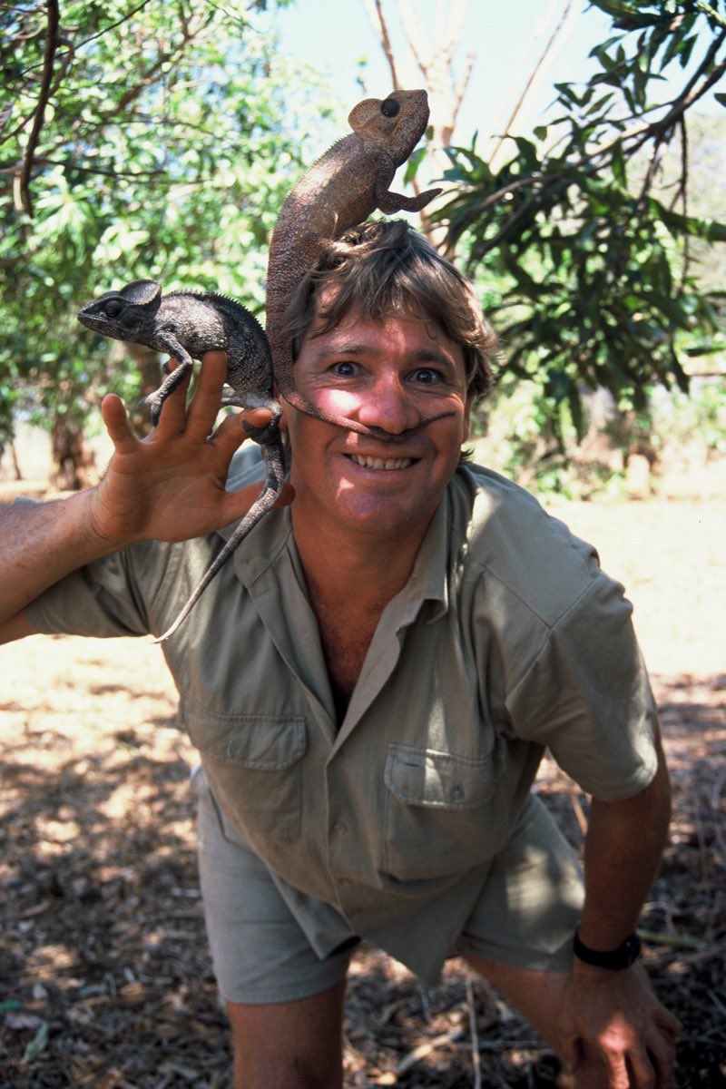 The original Wildlife Warrior. Happy Steve Irwin Day💚