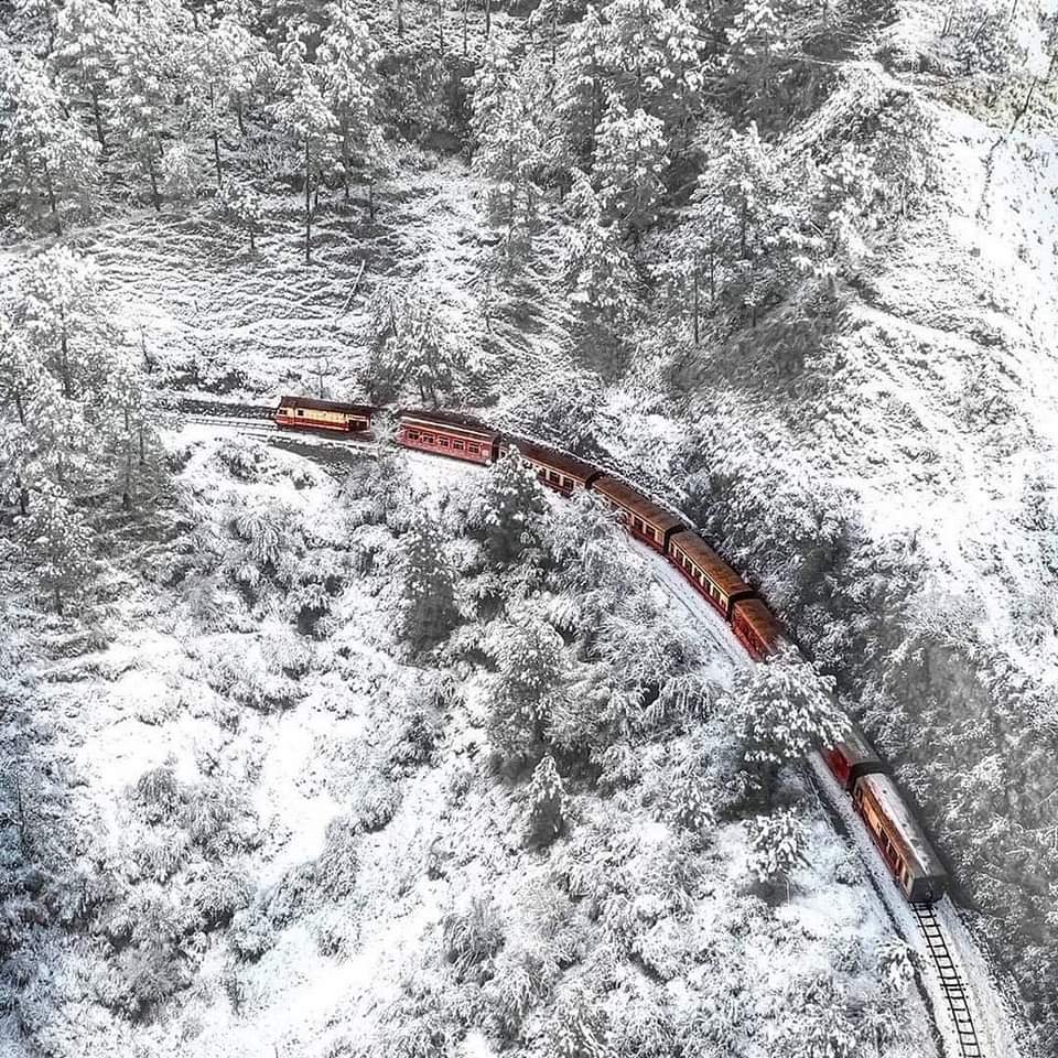 ❤️ SHIMLA ❤️

#DreamDestination #HimachalPradesh #WinterIsHere #DestinationEarth #SnowWhite #Trainstagram #TrainsSpotting #Himachal #LifeIsBeautiful #TrainTracks #IndiaPhotoSociety #IGDaily #BestPlacesToGo #PlacesToVisit #PlacesToTravel