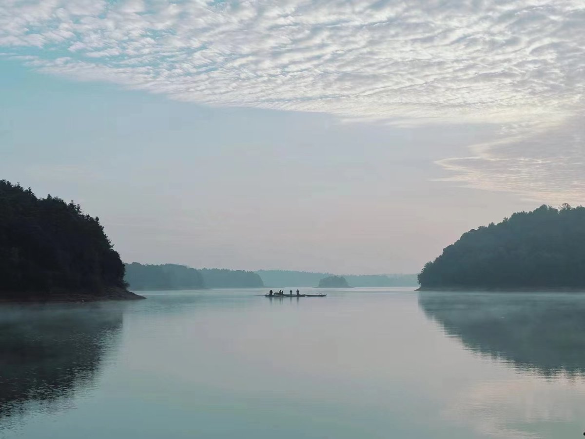 #治愈美景
江西宜春丰城的芦苇水库，如诗一般！