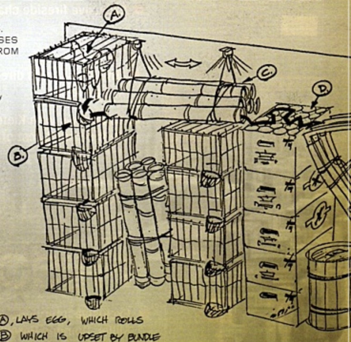 jere🦆my tweet media
