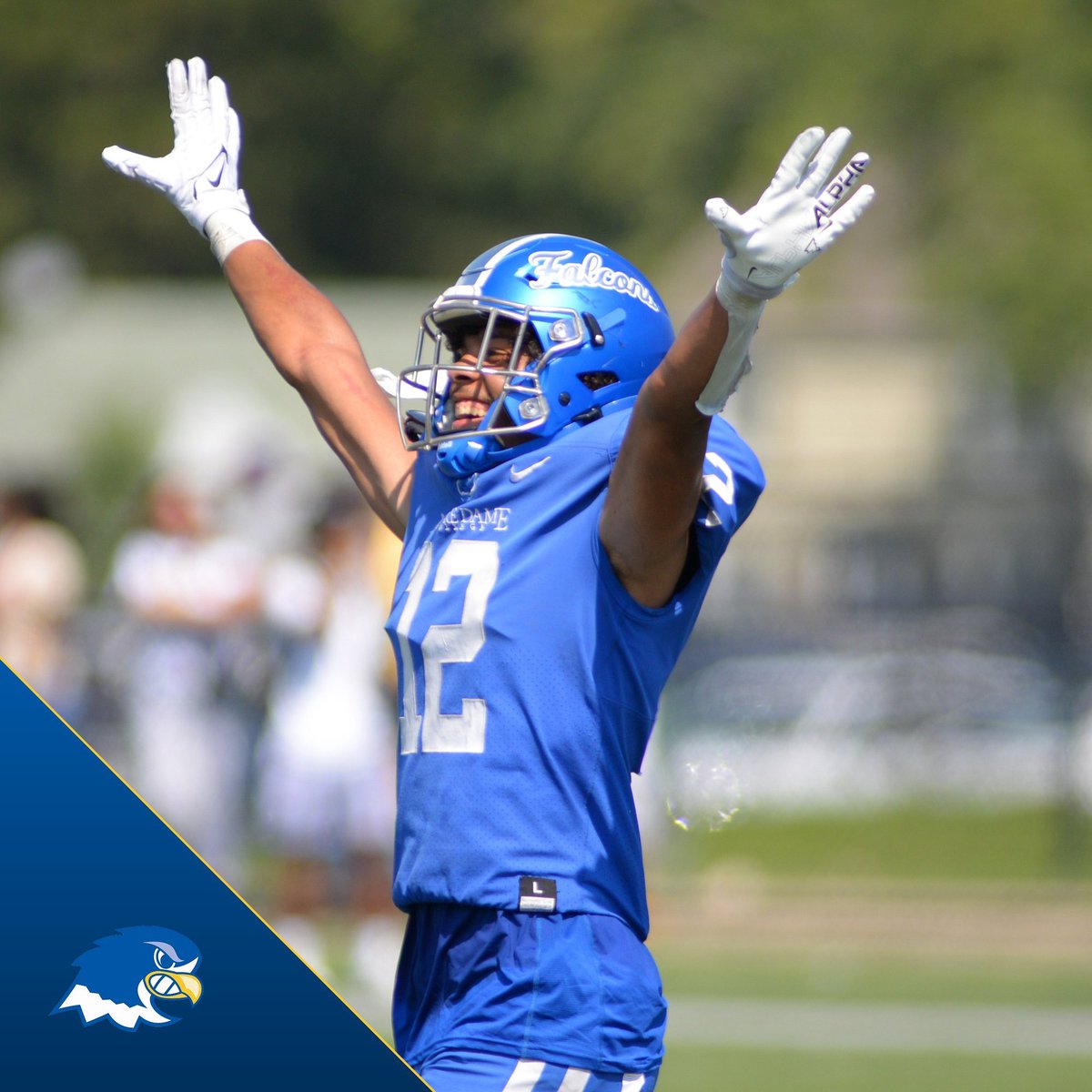 NDC Falcons tweet media