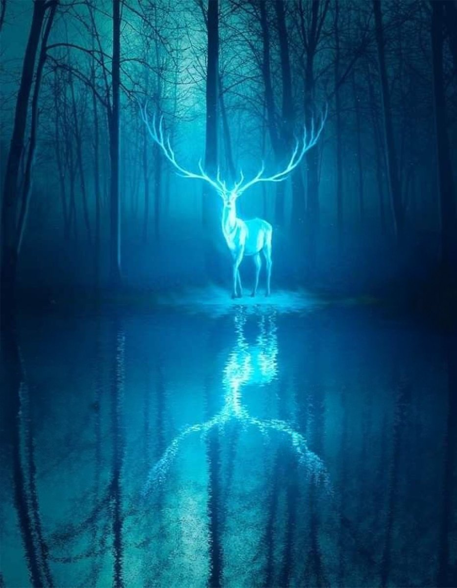 Anc_Aesthetics's tweet photo. Stag https://t.co/mEOV2Xl2jO