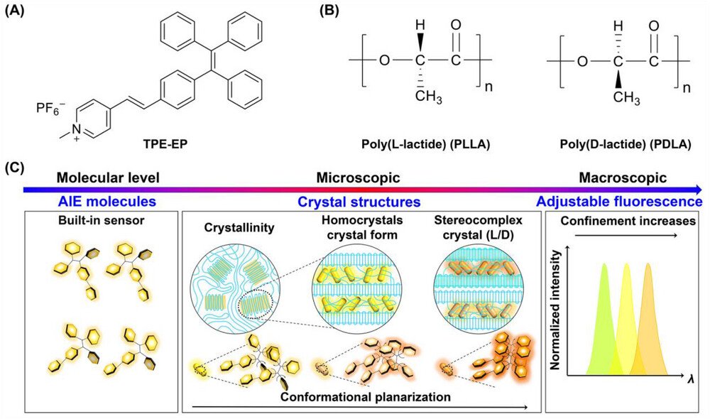 AggregateOA's tweet photo. New Research Article🔬
"Confinement fluorescence effect of an aggregation-induced emission luminogen in crystalline polymer" by Jin Wen & Yanhua Cheng et al. @WileyPolymers #AIE #crystalline #polymer #PLLA #PDLA
Check👉https://t.co/E0FGSDrfqF https://t.co/iz1s4WeVCC