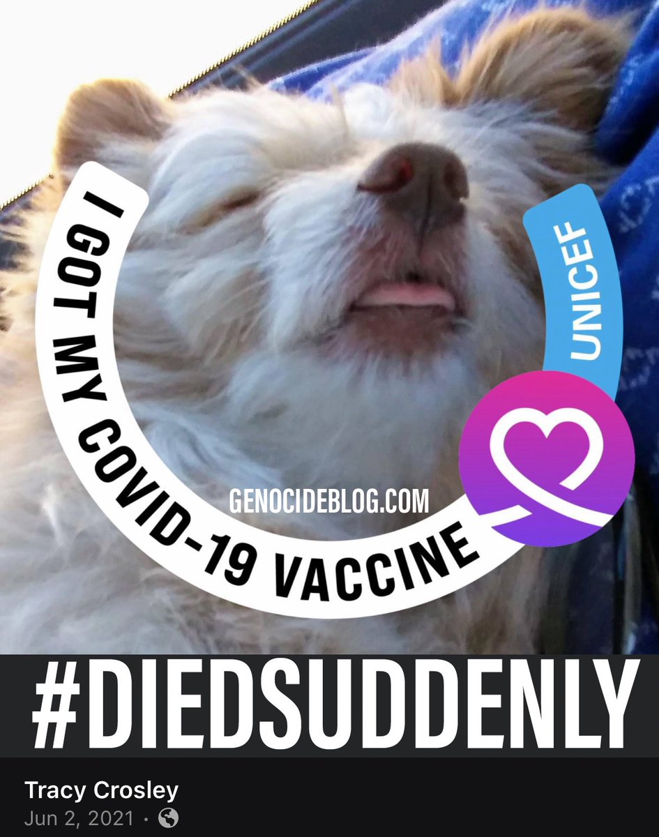 Tracy Crosley 💉🪦
#FullyVaccinated #DiedSuddenly
(November 2023) 🇺🇸 Oregon 

“My mom Tracy Crosley passed away early morning on November 13th. It was very sudden and unexpected.“

#Pfizer #NHS #GetVaccinated #GetBoosted #Science #Genocide #Covid19 

GenocideBlog.com